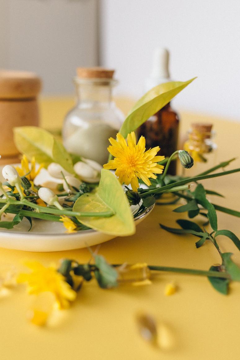 Yellow flowers in soft sunlight